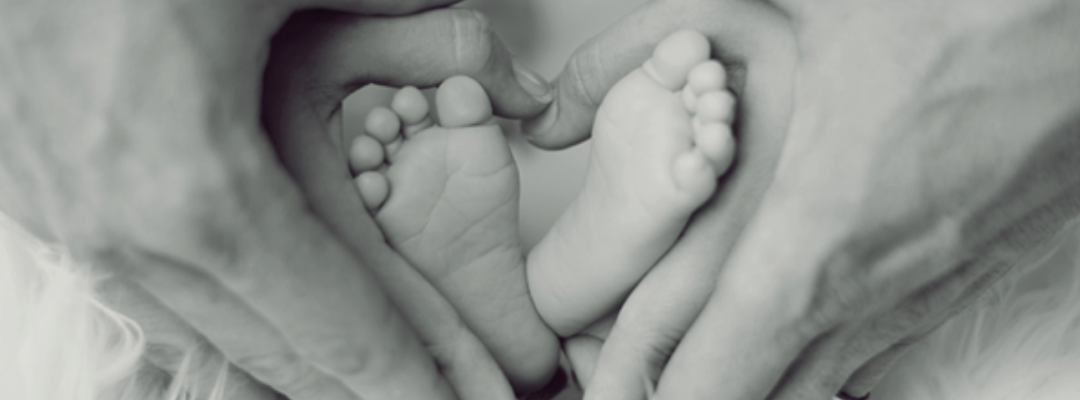 ACDE | El don de la vida: reflexiones en torno al aborto